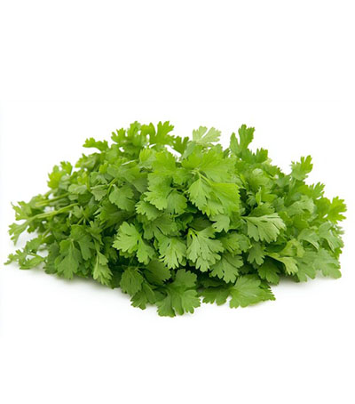 Description of image 5