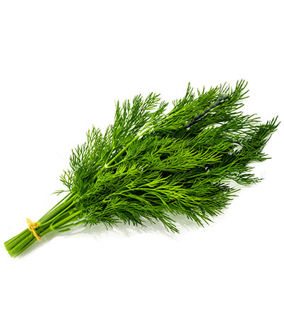 Close-up of oranges on a tree