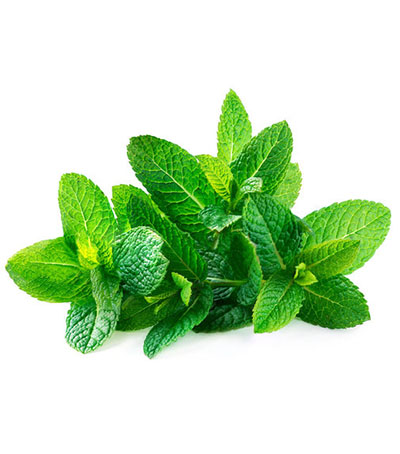 Description of image 3