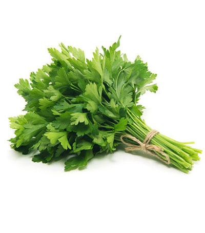 Description of image 4